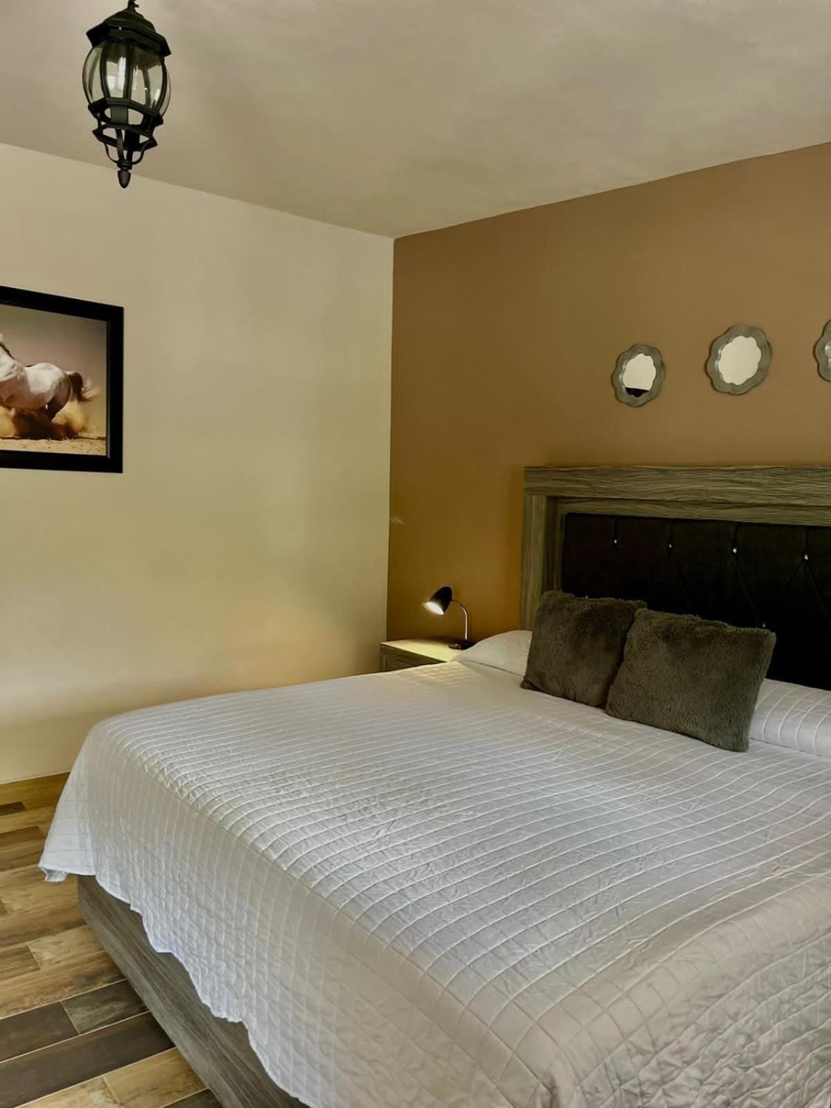 Cabanas, Suites Y Habitaciones Rancho San Jorge Bernal Eksteriør bilde