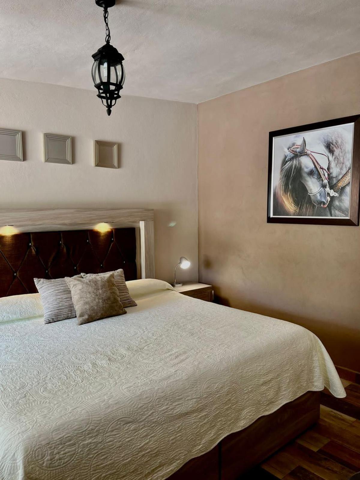 Cabanas, Suites Y Habitaciones Rancho San Jorge Bernal Eksteriør bilde
