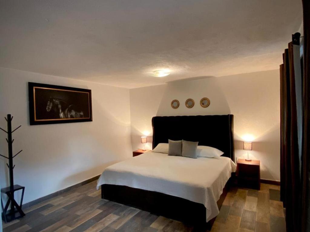 Cabanas, Suites Y Habitaciones Rancho San Jorge Bernal Eksteriør bilde
